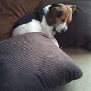 Meet your Posher, Tracey